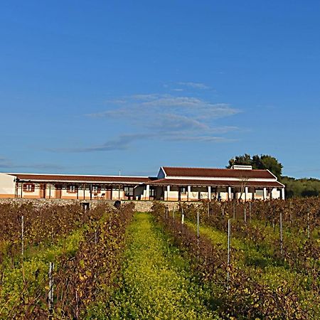 Penzion Turismo Rural Pedremoura Vila Ruiva  Exteriér fotografie