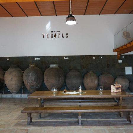 Penzion Turismo Rural Pedremoura Vila Ruiva  Exteriér fotografie