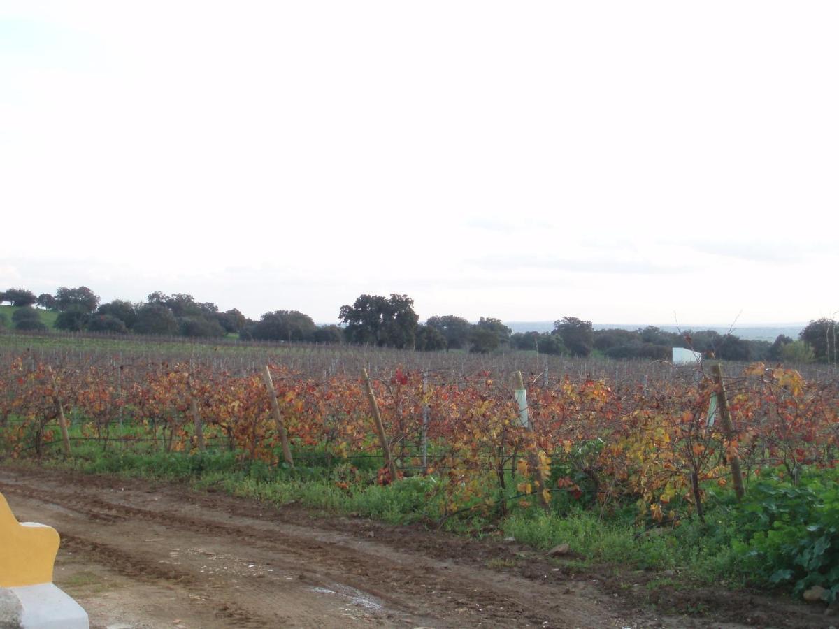 Penzion Turismo Rural Pedremoura Vila Ruiva  Exteriér fotografie